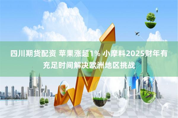 四川期货配资 苹果涨超1% 小摩料2025财年有充足时间解决欧洲地区挑战