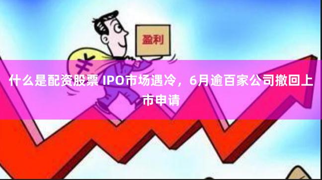 什么是配资股票 IPO市场遇冷，6月逾百家公司撤回上市申请