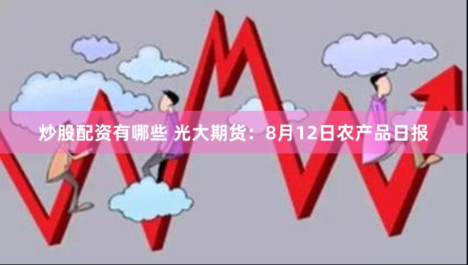 炒股配资有哪些 光大期货：8月12日农产品日报